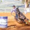 2ª etapa do 4º Campeonato de Cavalo Quarto de Milha acontece neste sábado