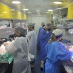 Prefeitura abre agendamento para nova edição do Castramóvel em Bragança