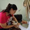 Vacinação contra a raiva para cães e gatos segue disponível mediante agendamento em Bragança Paulista