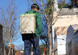 Em Bragança Paulista, Cemitério da Saudade recebe ação preventiva de combate às pragas urbanas