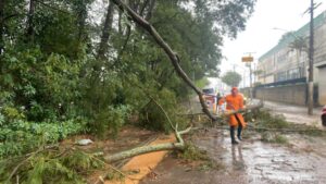 Defesa Civil emite alerta para temporais e ventos fortes em Bragança entre quarta e quinta-feira
