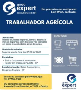 OPORTUNIDADE DE TRABALHO!