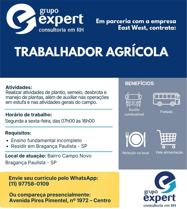 Empregos Ed 2328