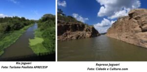 Novo Código de Urbanismo: Planejar a cidade também é cuidar do meio ambiente